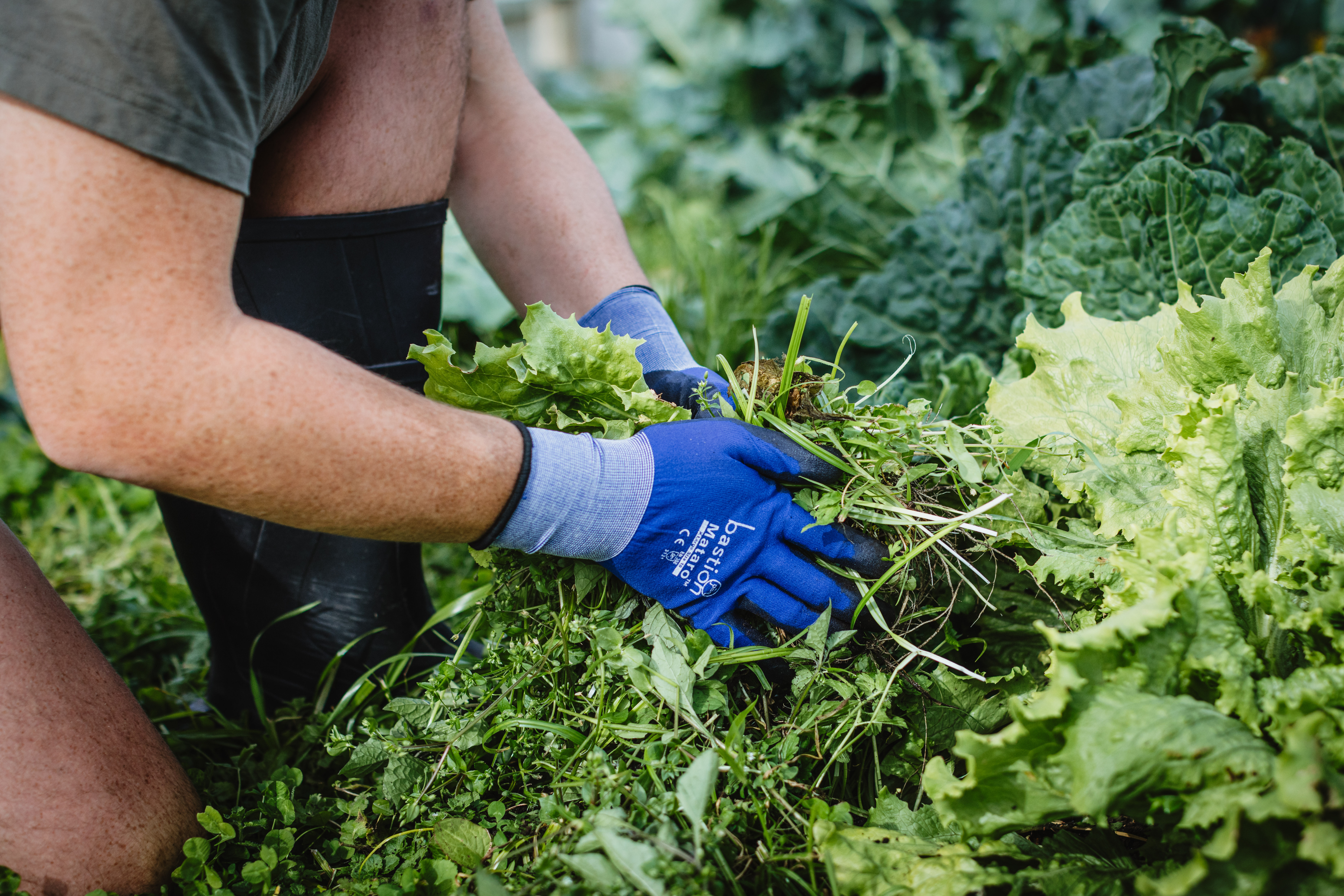 Bastion Gardening April 2024 59