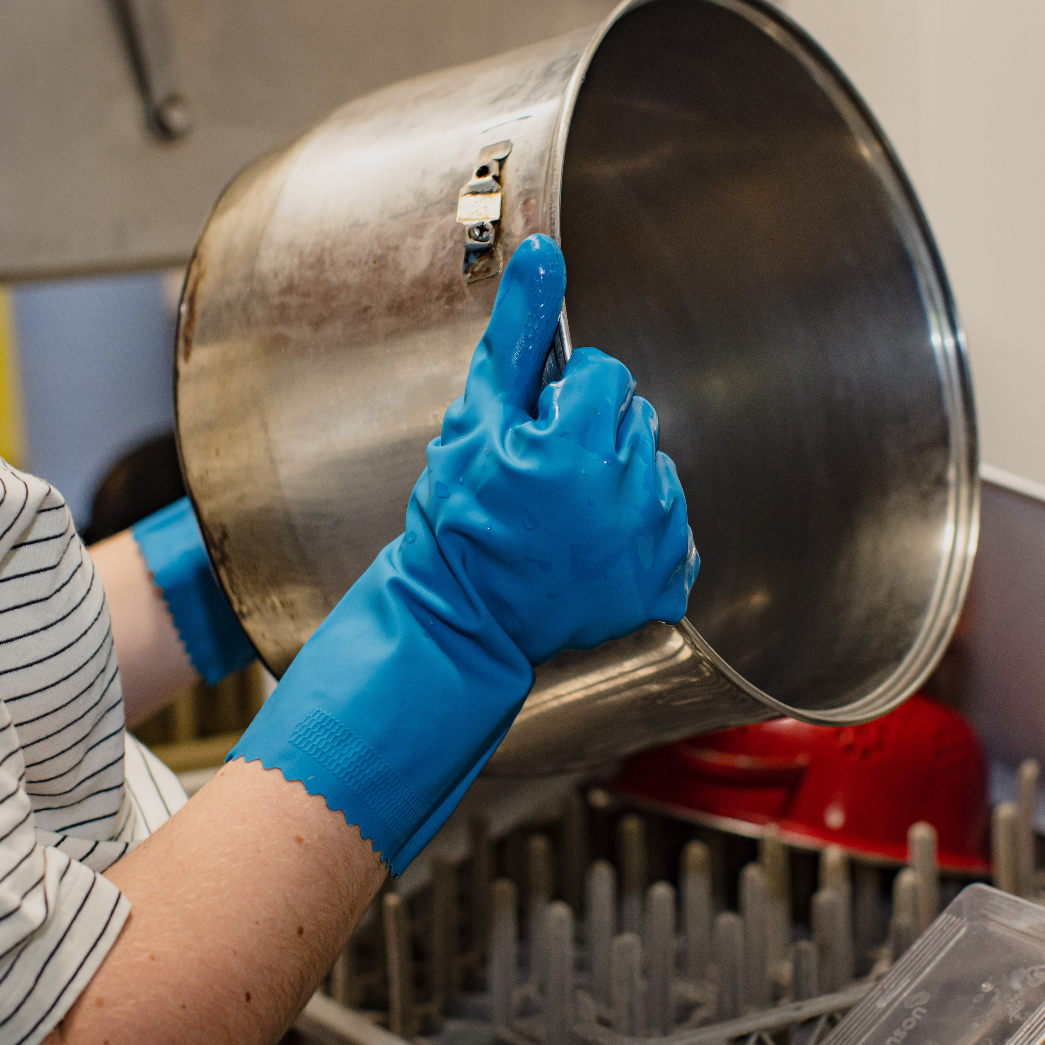 blue silverlined gloves washing up