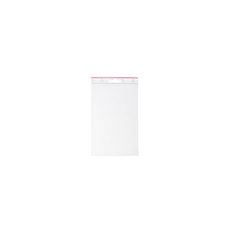 LR 800 165 Zipper Bags 100x155mm