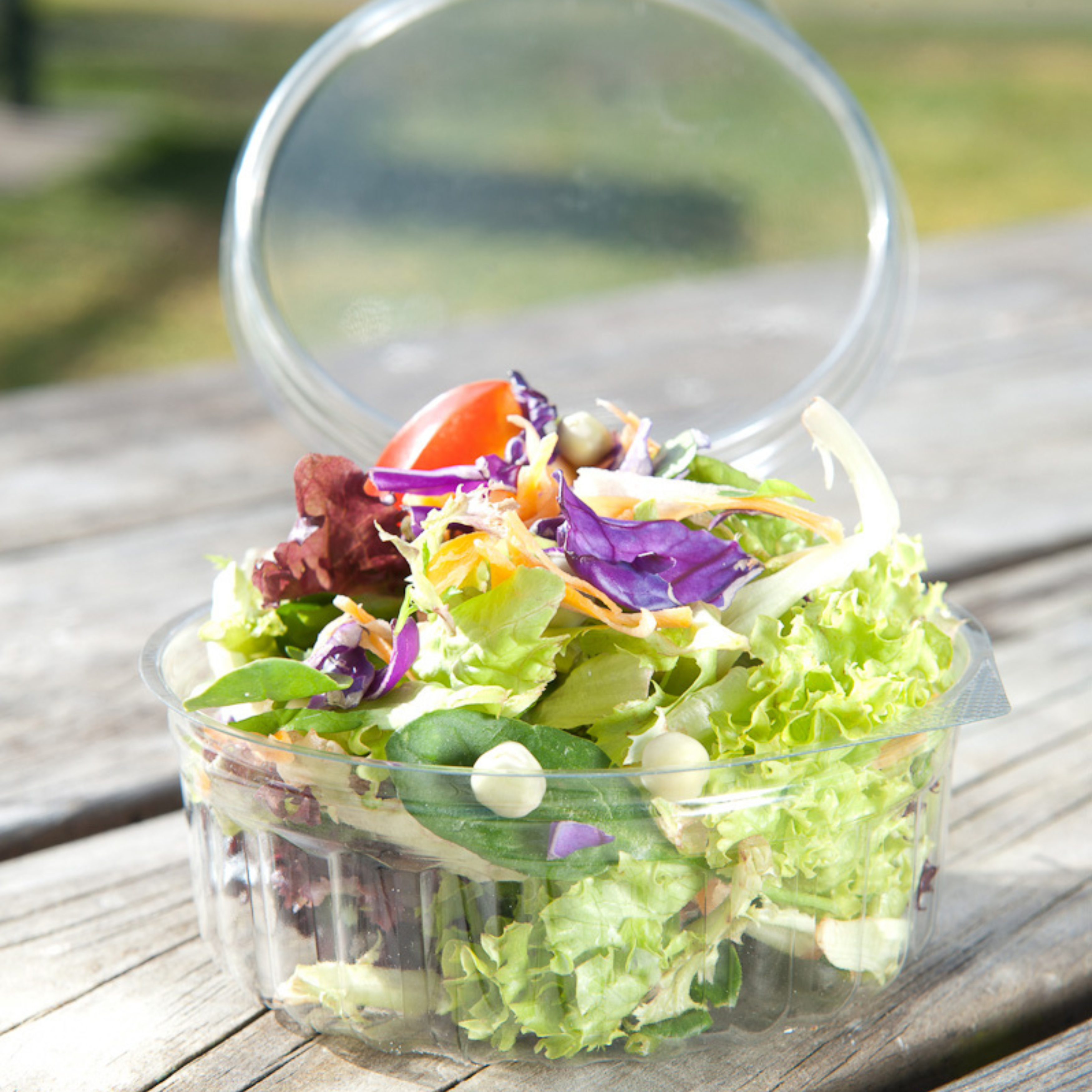 Flat lid sho-bowl with salad