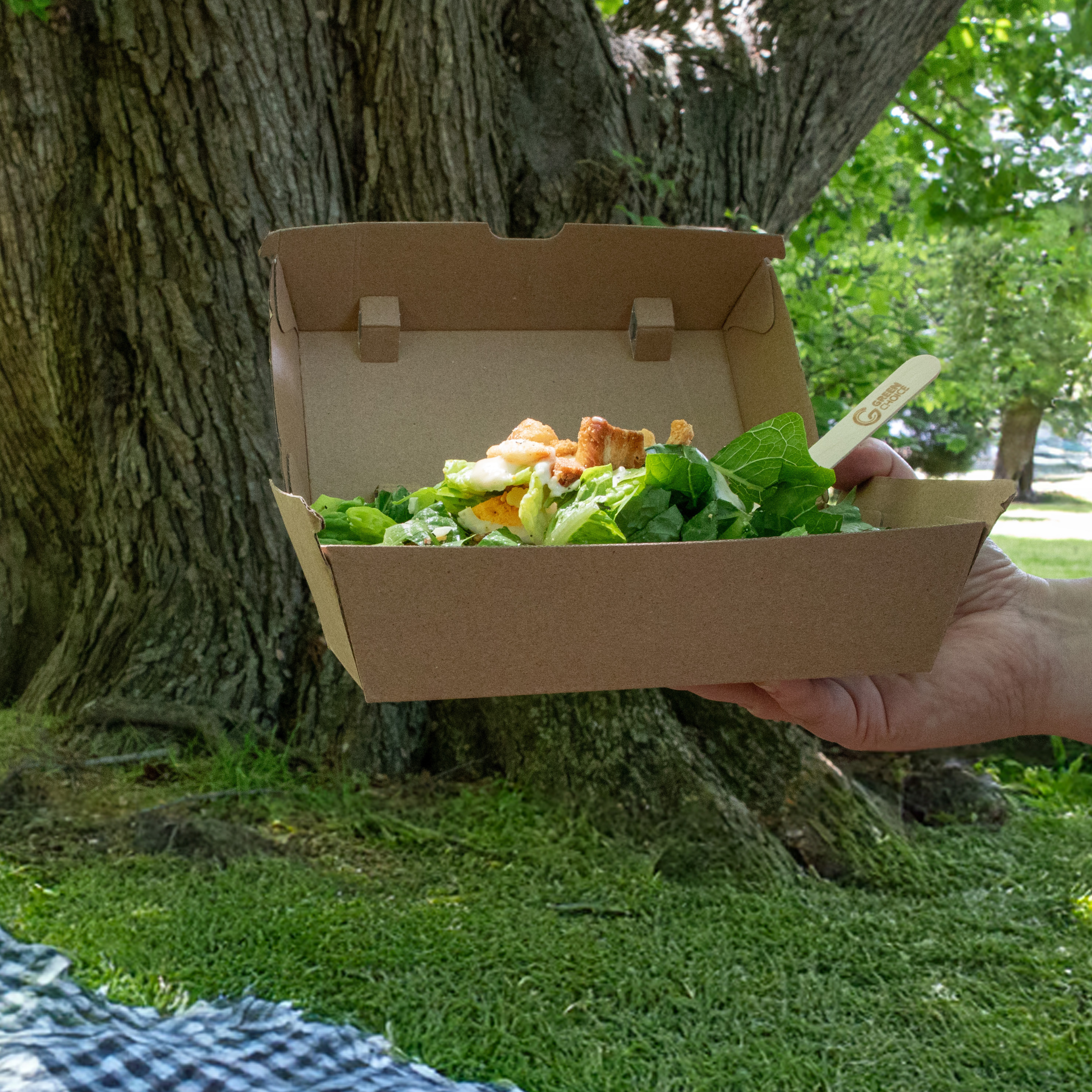 Someone holding a corrugated container full of salad outside