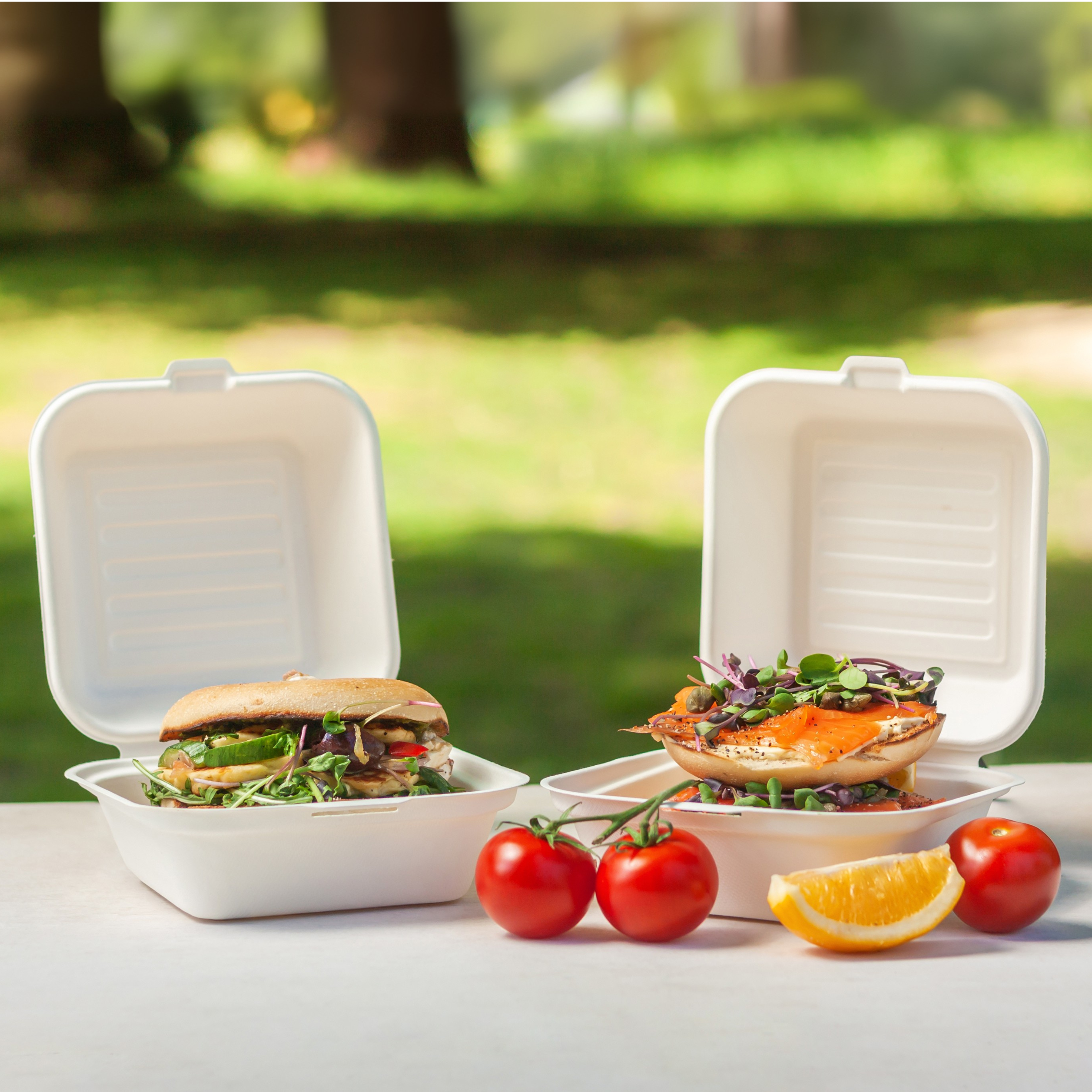 Bagels in a Green Choice sugarcane burger box on a picnic table