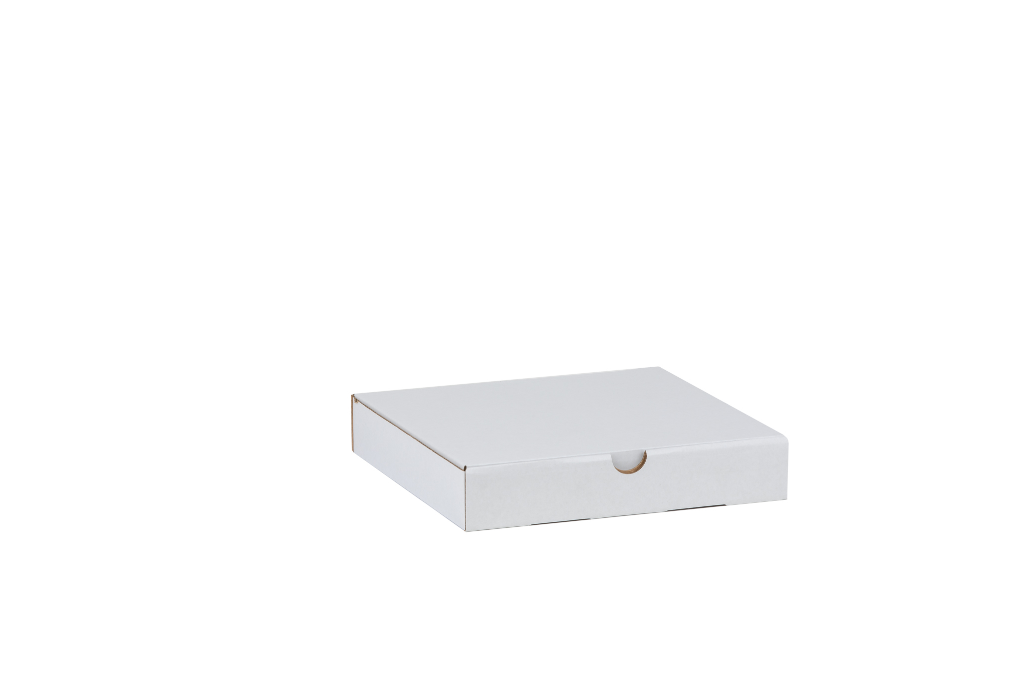 HR 1900 111 Pizza Box9 WH