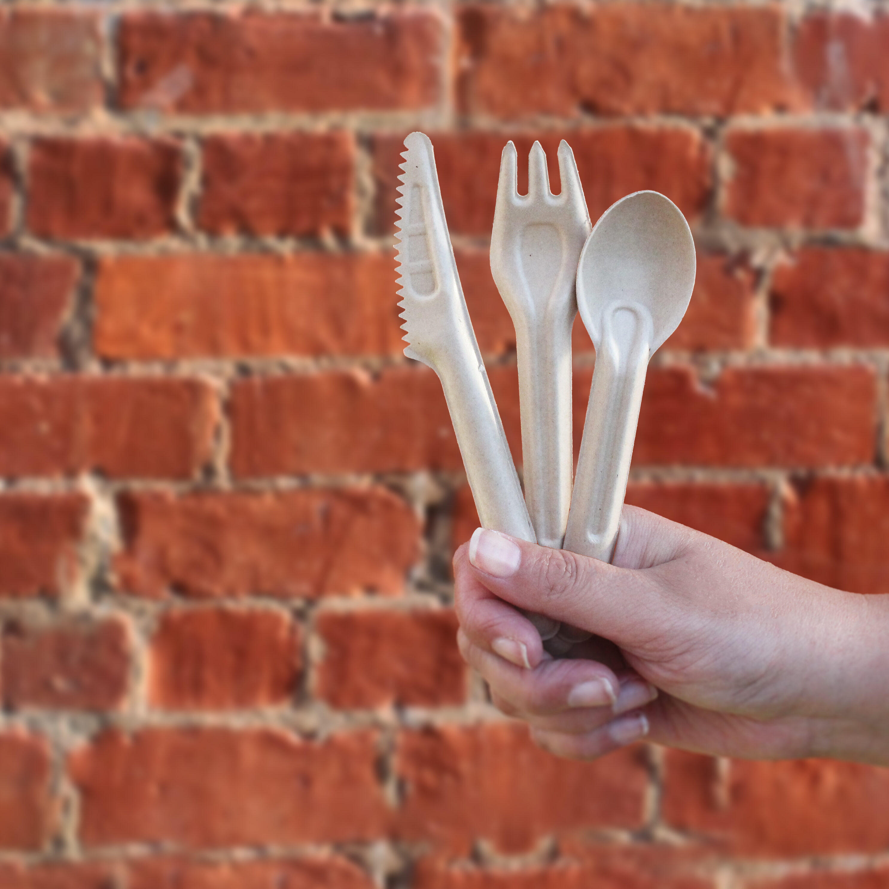 HR Sugarcane Cutlery Group IMG 0712