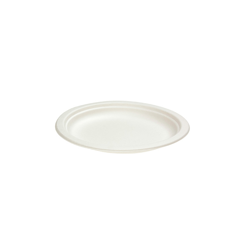 sugarcane Dinner plate