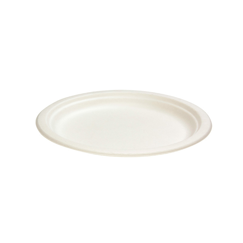 sugarcane dinner plate (large)