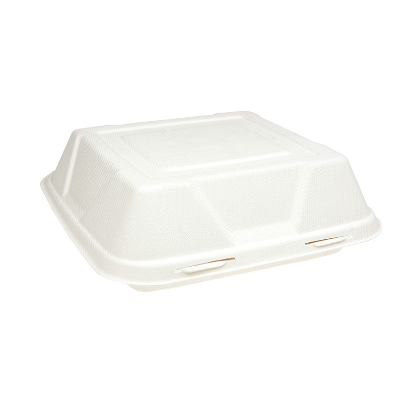 LR 1500 202 Bio Plate Large Food Pack Square