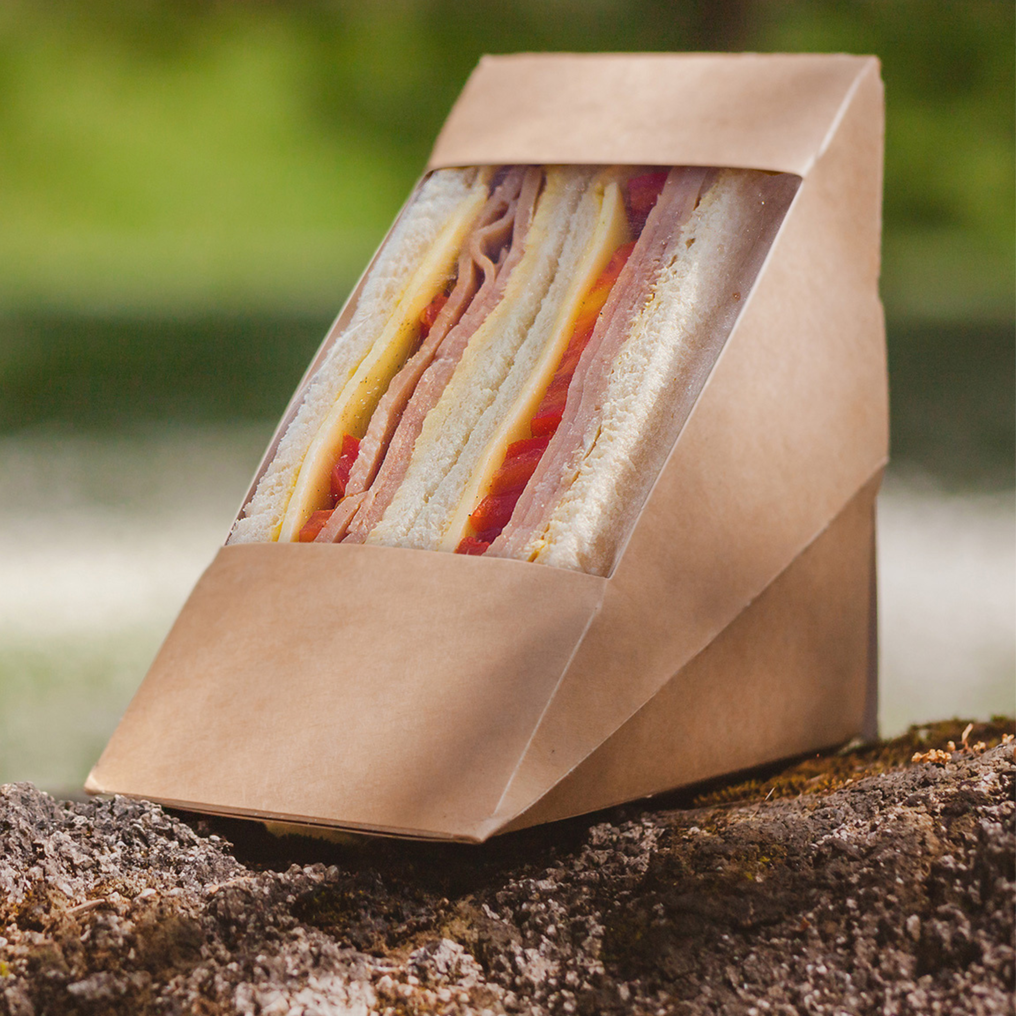 A Green Choice Sandwich box with a sandwich sitting on a branch outside