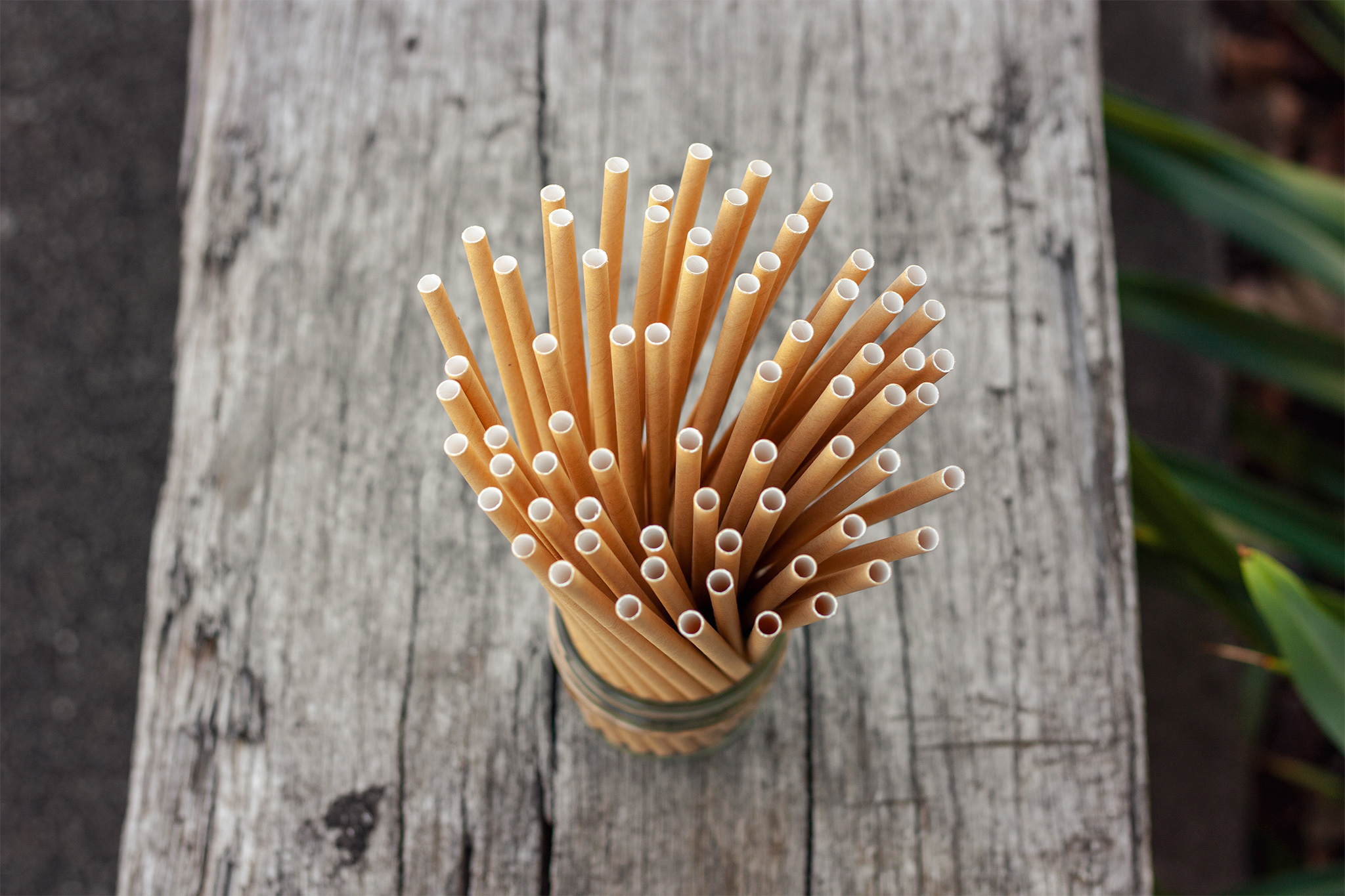 Straws 01